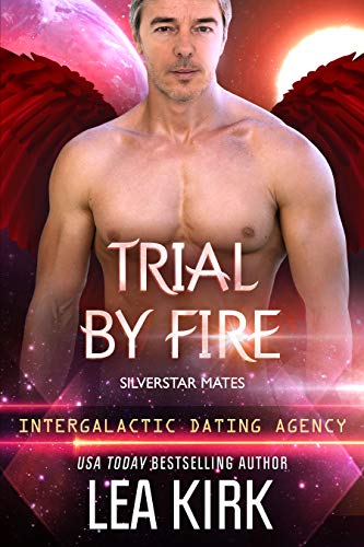 Trial by Fire book cover