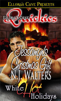 Jessamyn's Christmas Gift book cover
