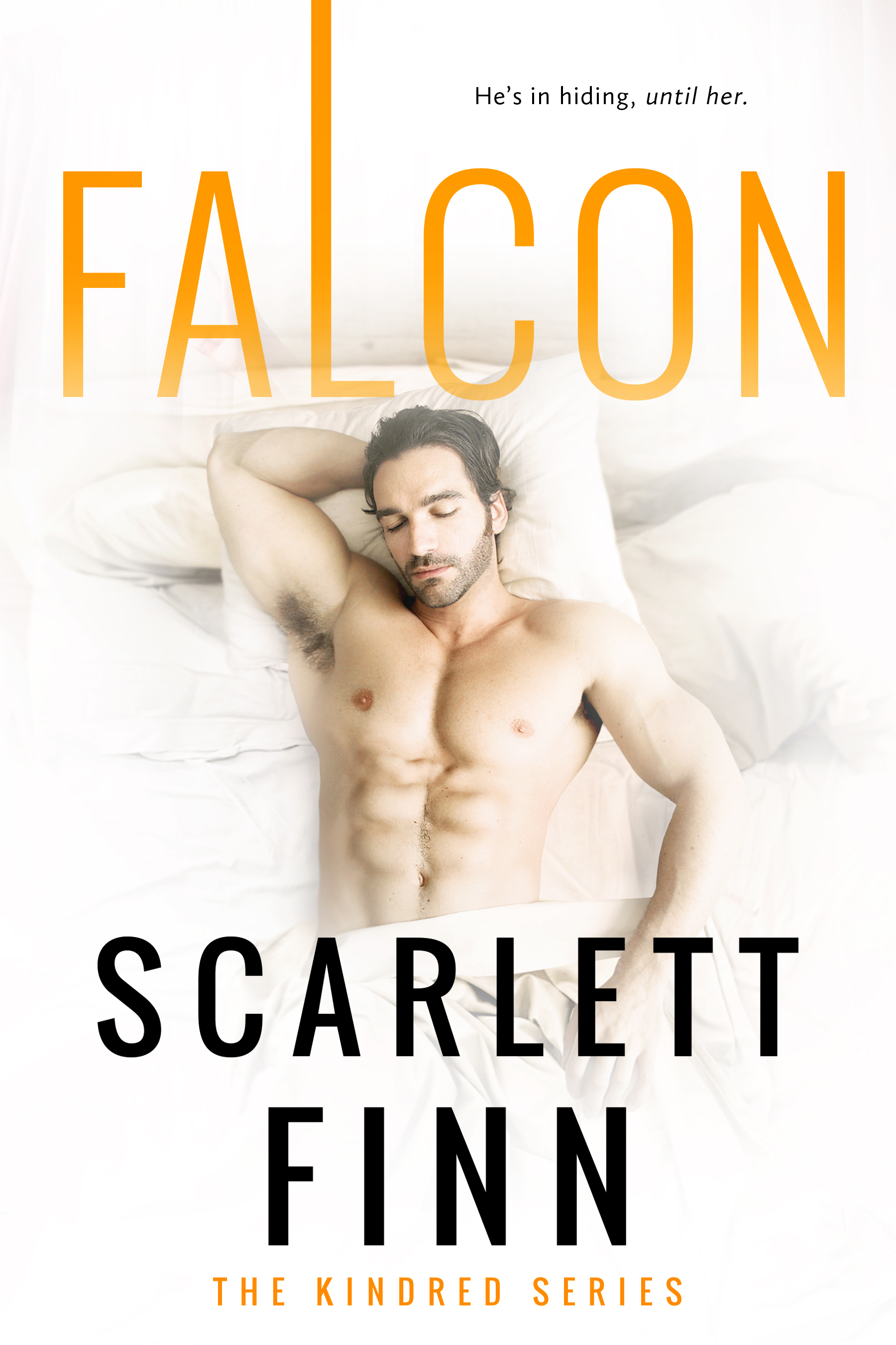 Falcon book cover