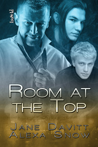Room at the Top book cover 1