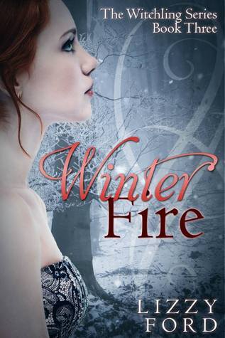 Winter Fire book cover