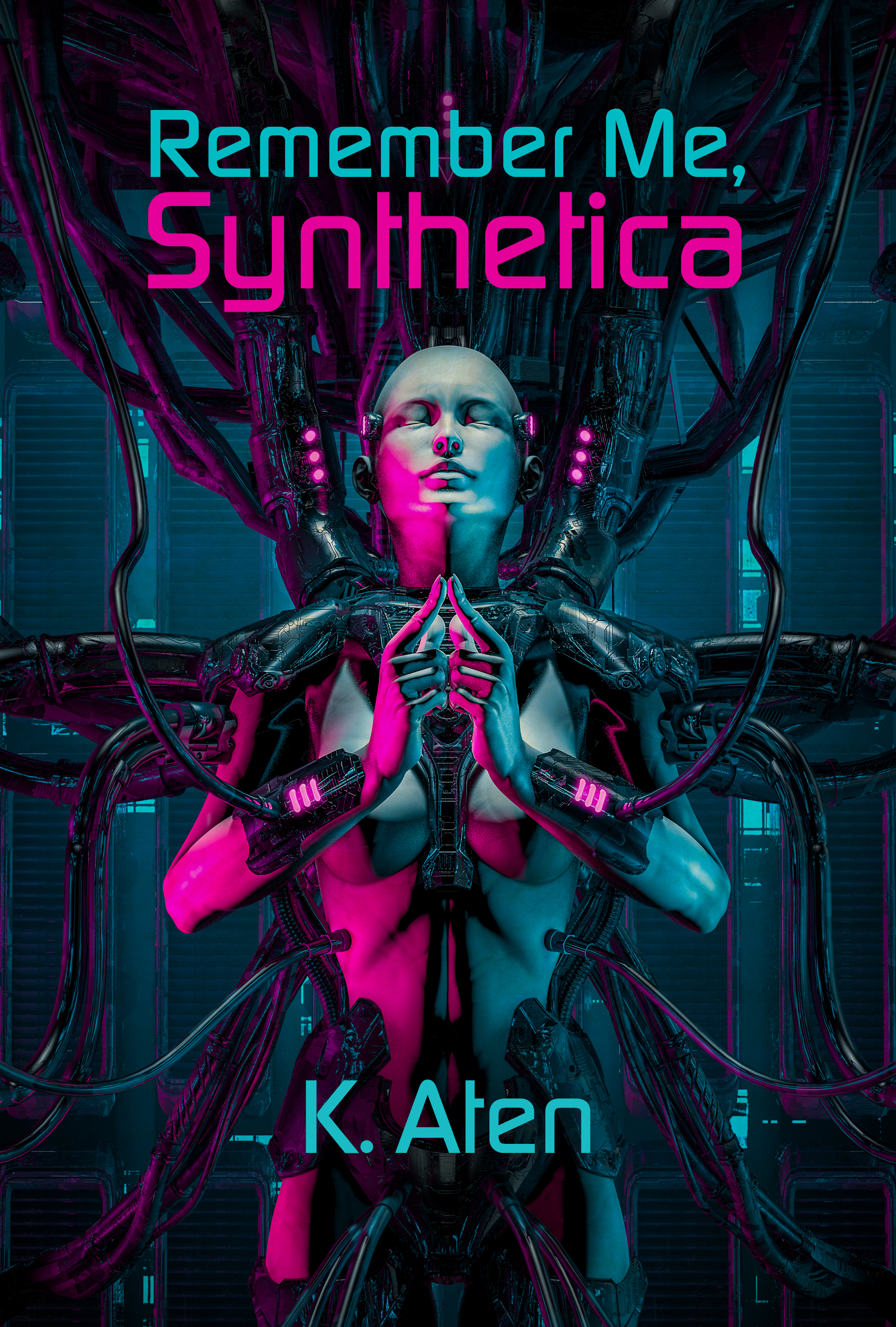 Remember Me, Synthetica book cover
