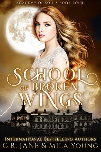 School of Broken Wings book cover