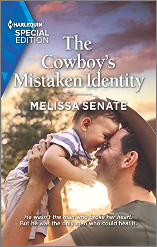 The Cowboy's Mistaken Identity book cover