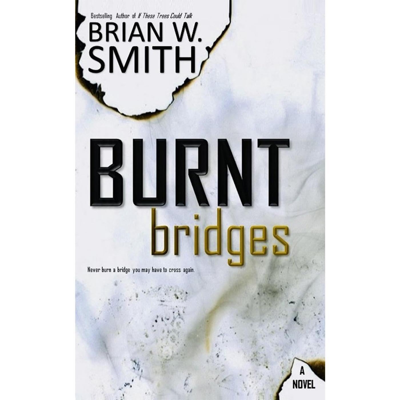 Burnt Bridges book cover