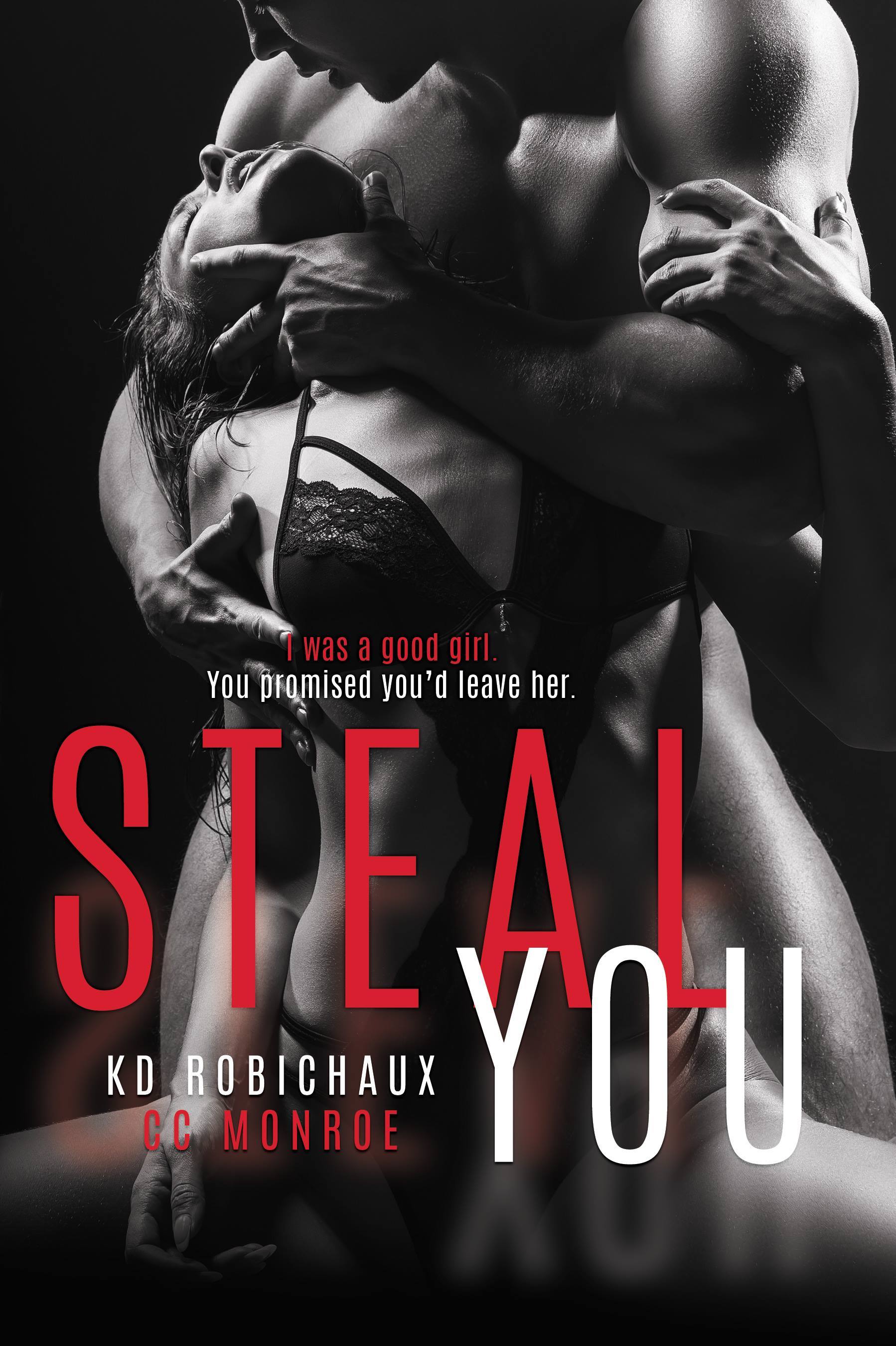 Steal You book cover