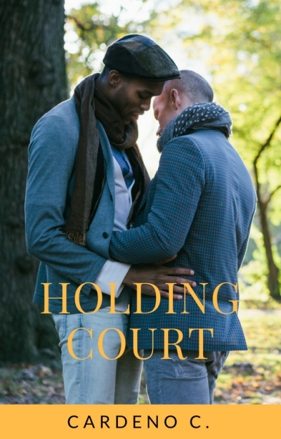 Holding Court book cover