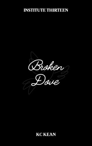 Broken Dove book cover