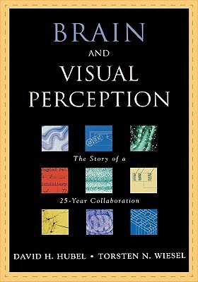 Brain and Visual Perception book cover