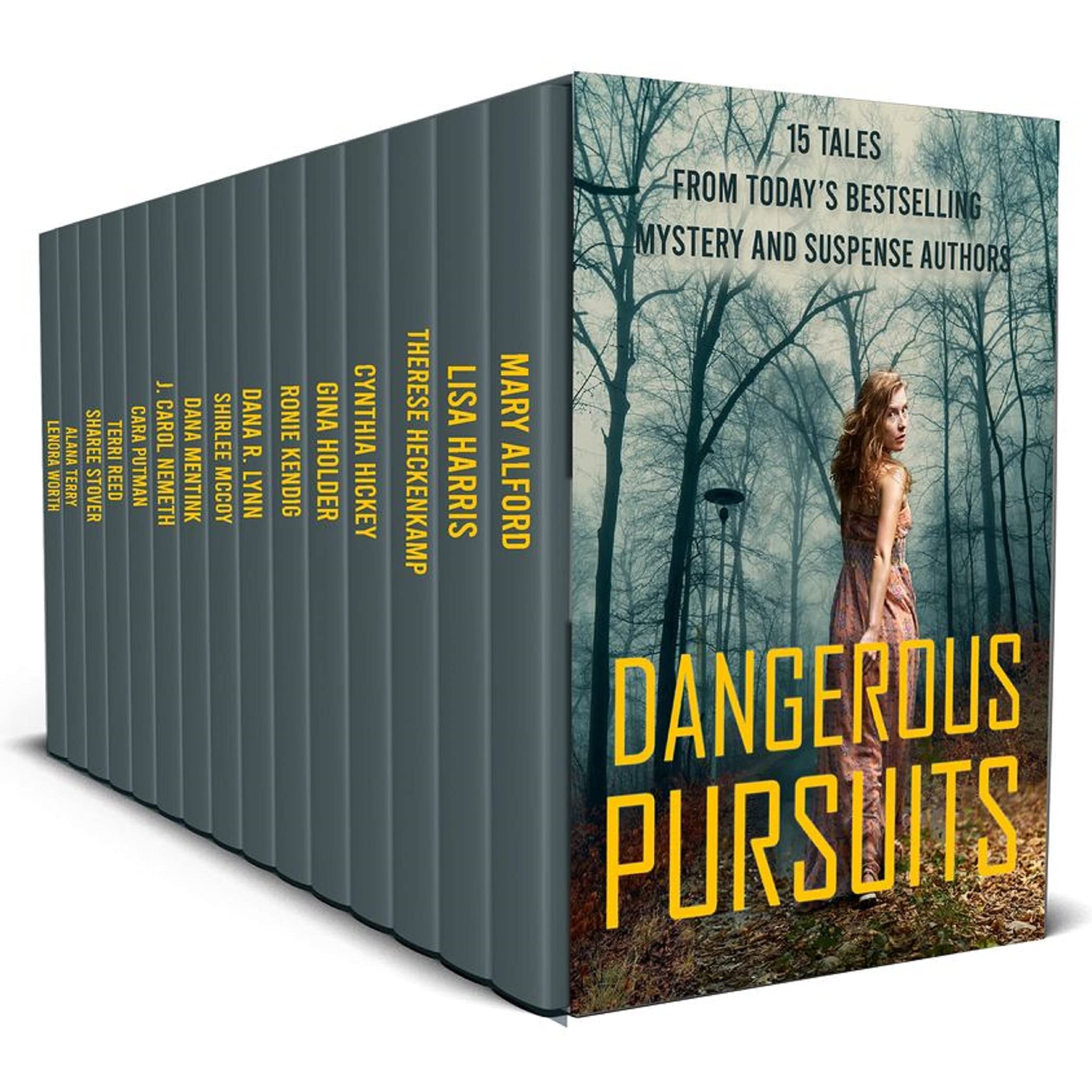 Dangerous Pursuits book cover