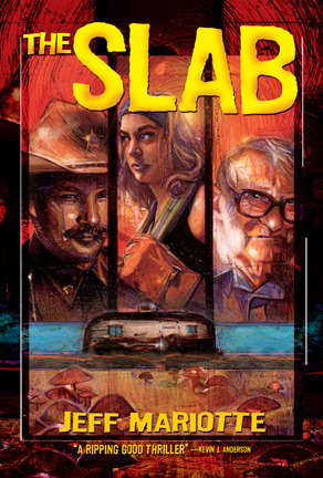 The Slab book cover