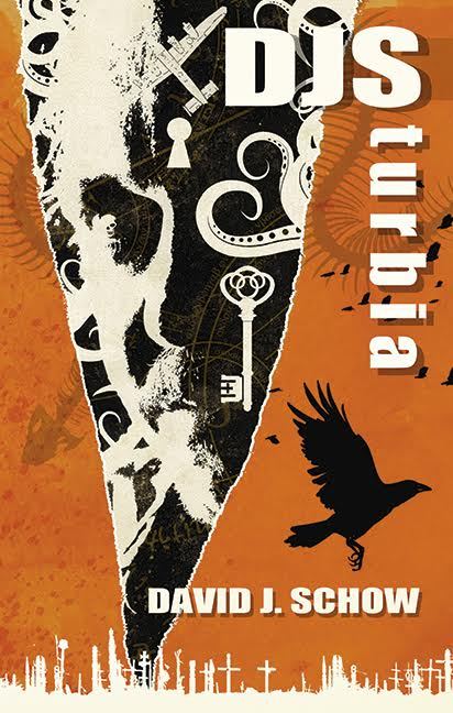 DJSturbia book cover