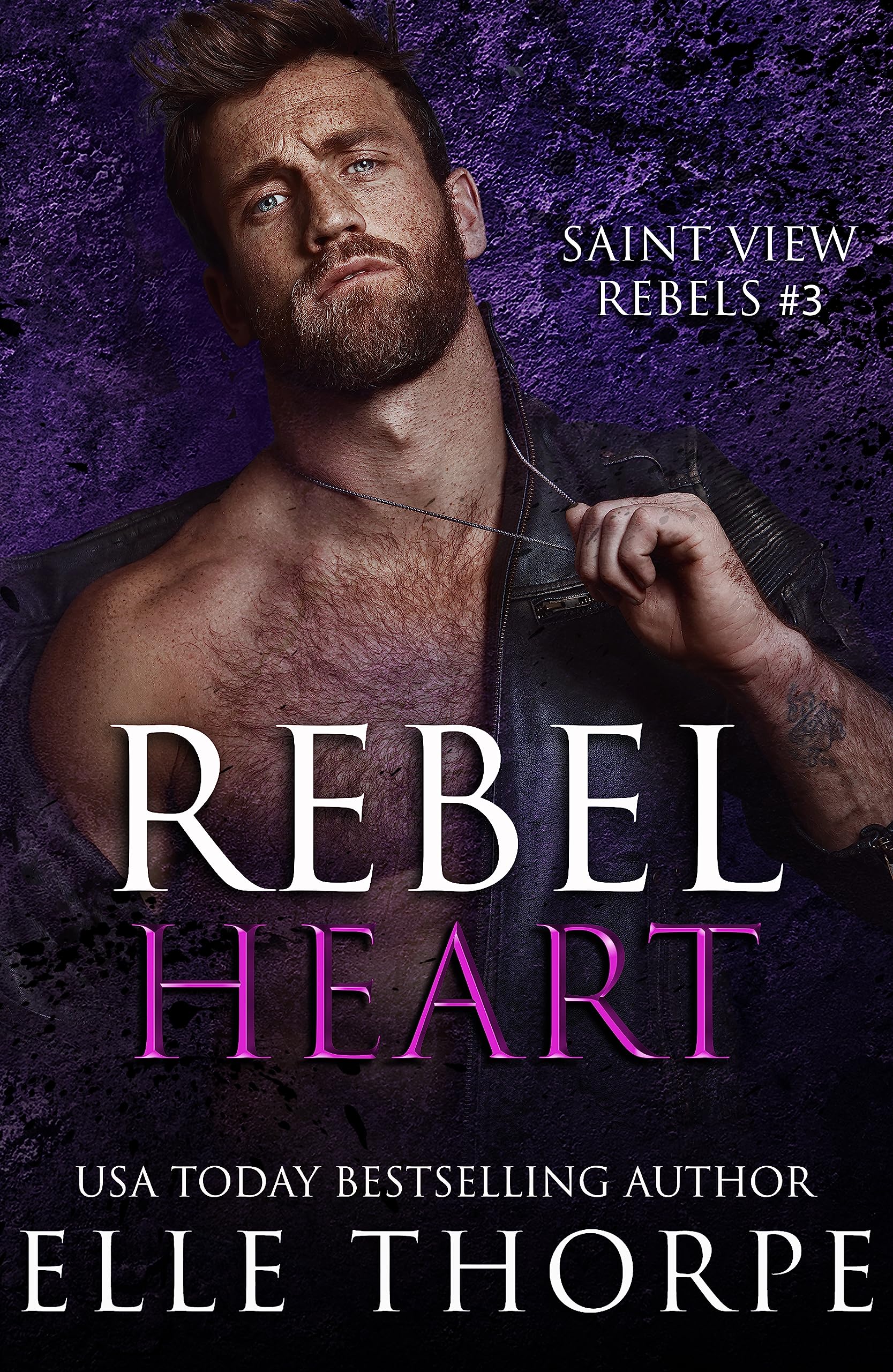 Saint View Rebels book cover 3