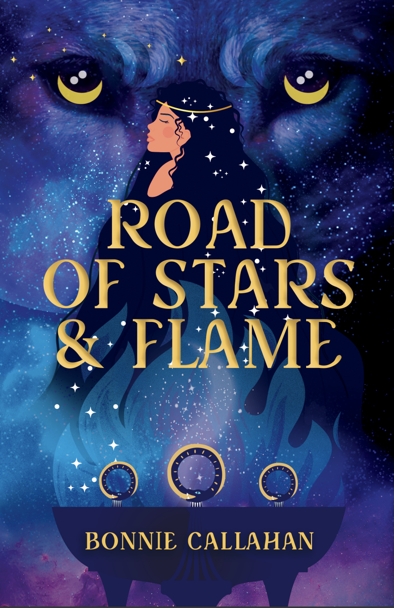 Road of Stars and Flame book cover