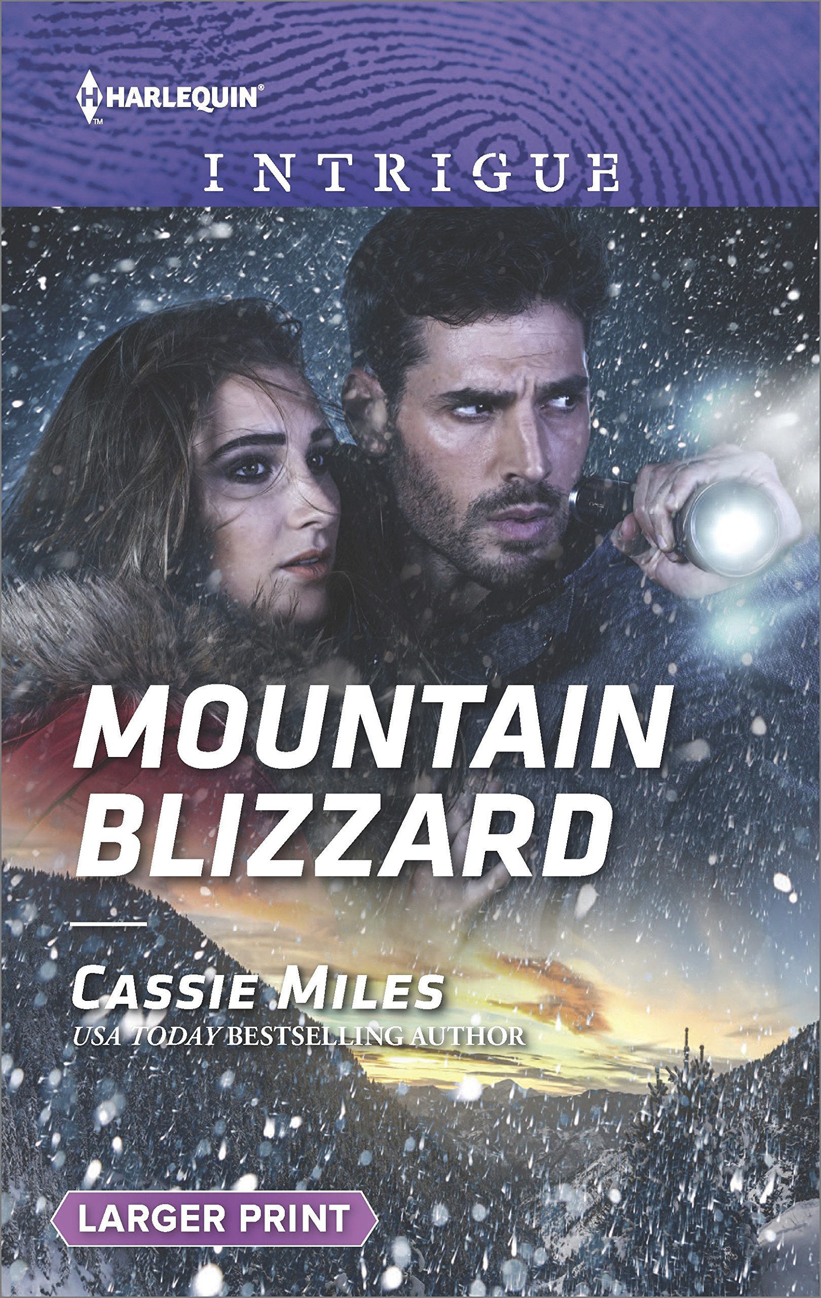 Mountain Blizzard book cover