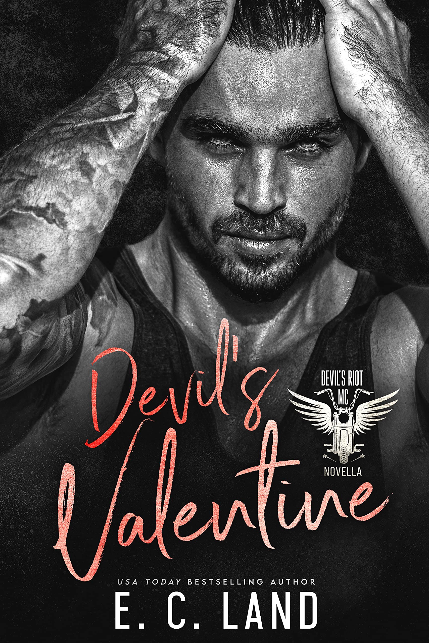 Devil's Valentine book cover