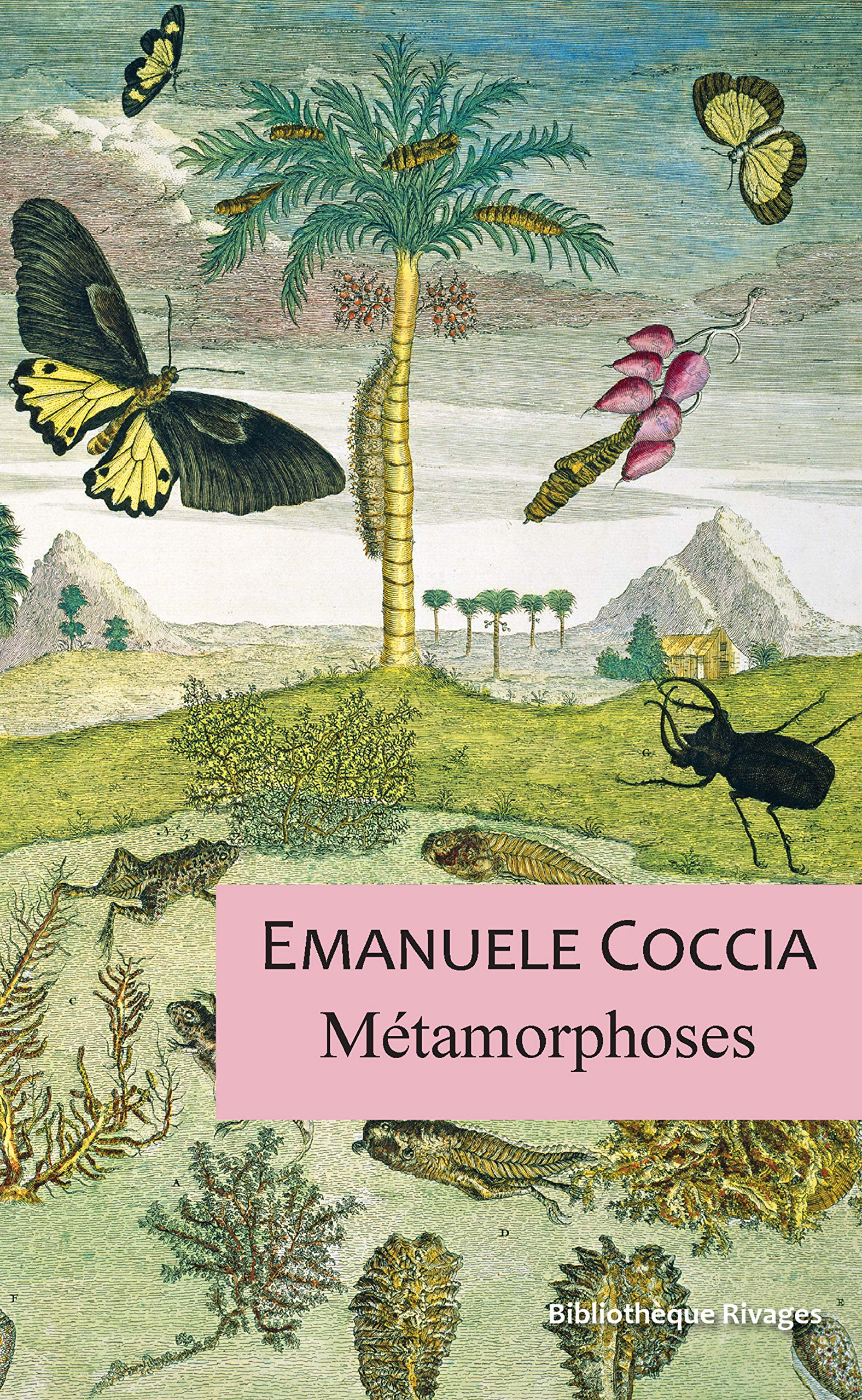 Metamorphoses book cover
