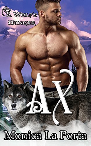 Ax book cover