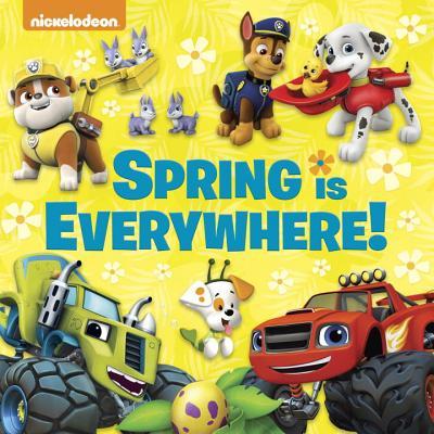 Spring is Everywhere! book cover
