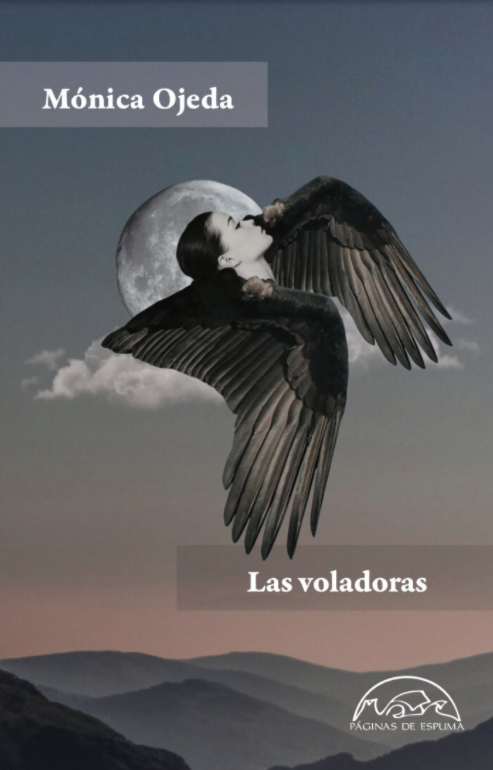 Las voladoras book cover