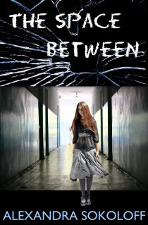 The Space Between book cover