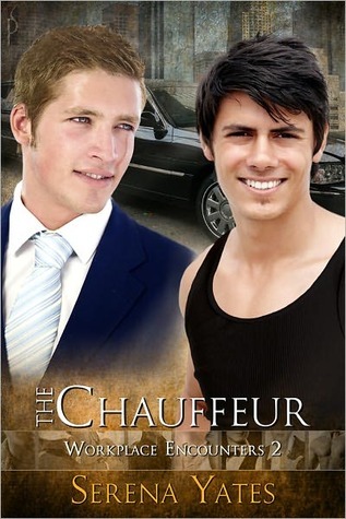 Workplace Encounters book cover 2
