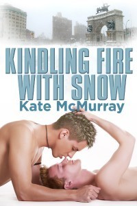 Kindling Fire with Snow book cover
