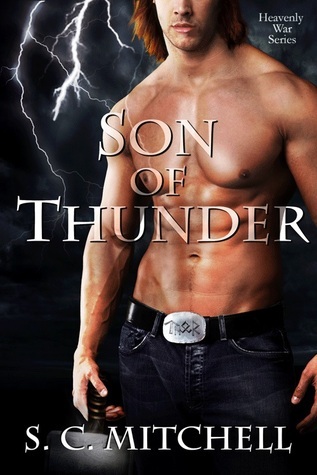 Heavenly Wars book cover 1
