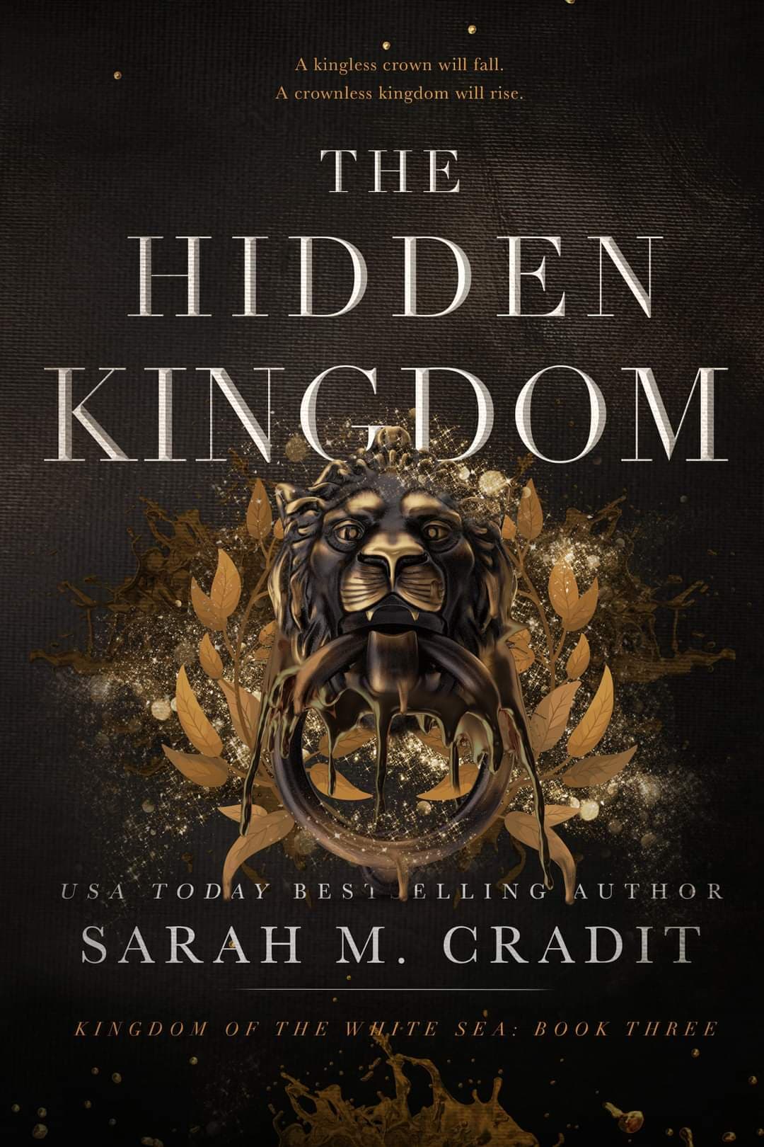 Kingdom of the White Sea book cover 3