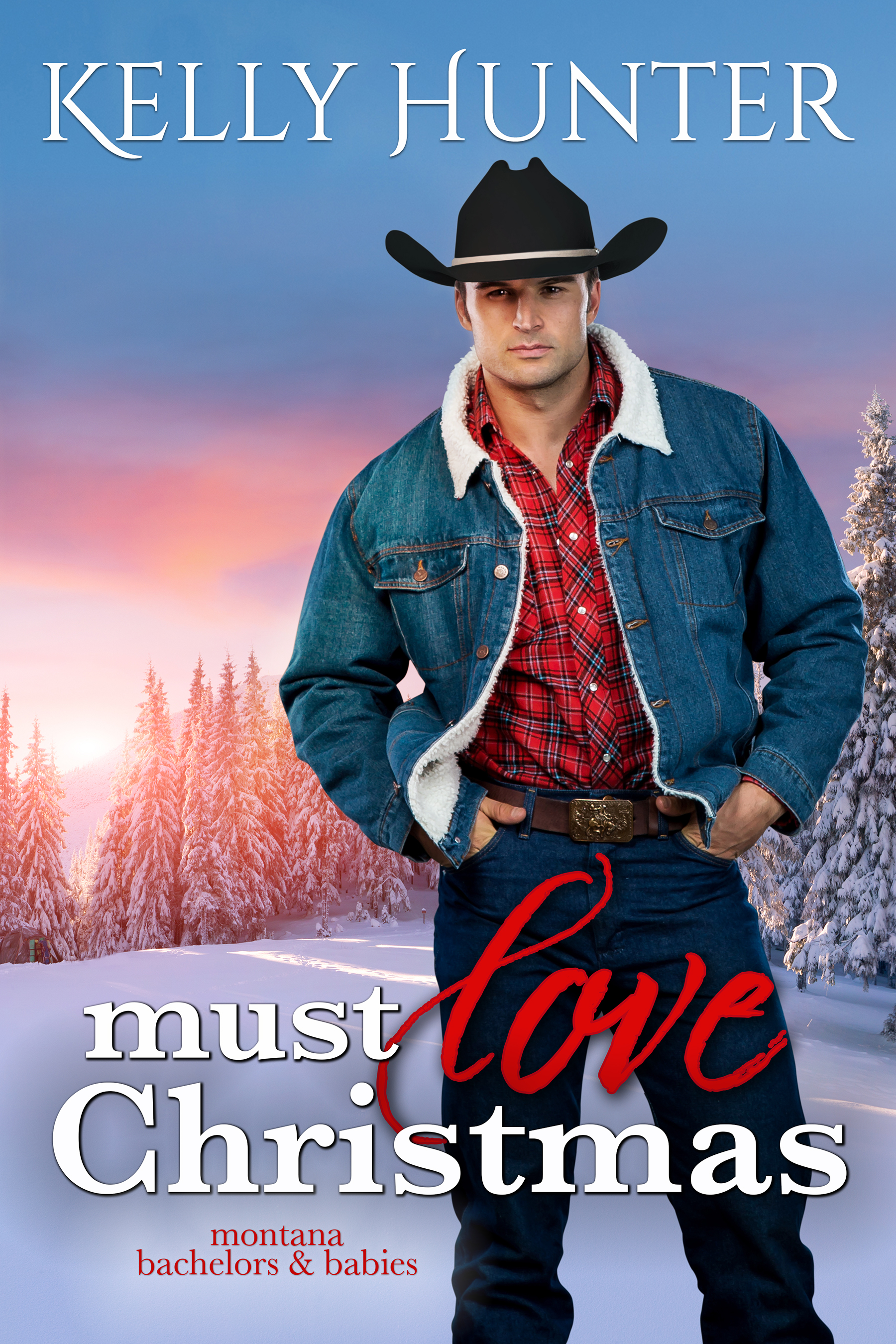 Montana Bachelors and Babies book cover 3