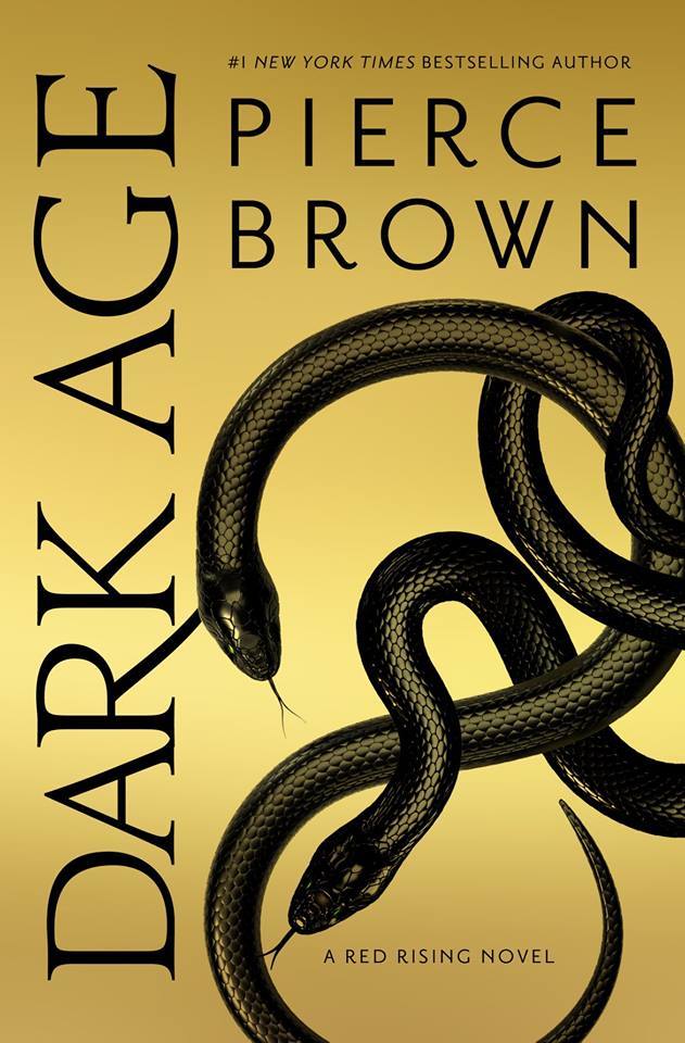 Dark Age book cover