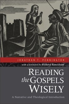 Reading the Gospels Wisely book cover