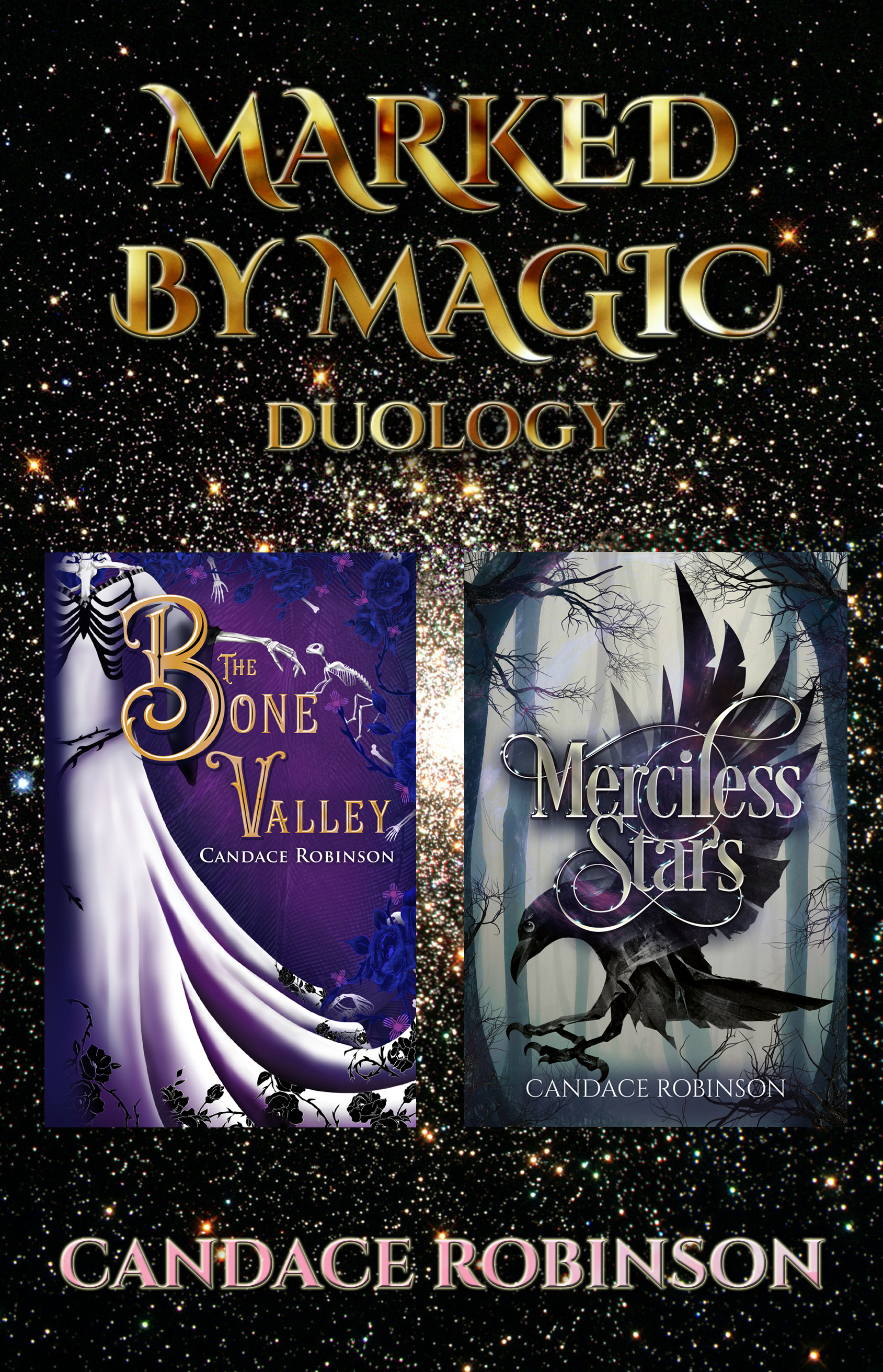 Marked by Magic book cover