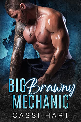 Big Brawny Mechanic book cover