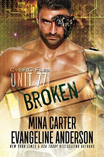 CyBRG Files book cover 1