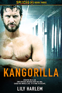 Spliced book cover 3