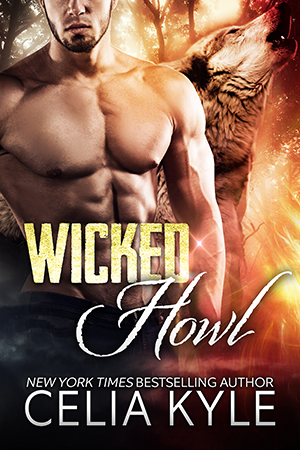 Wicked in Wilder book cover 1