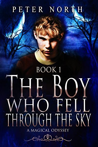 The Boy Who Fell Through The Sky book cover