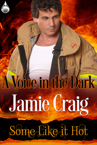 A Voice in the Dark book cover