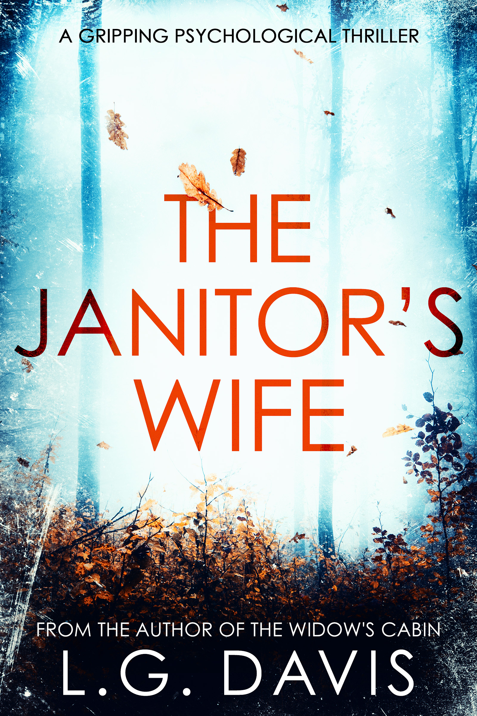 The Janitor's Wife book cover