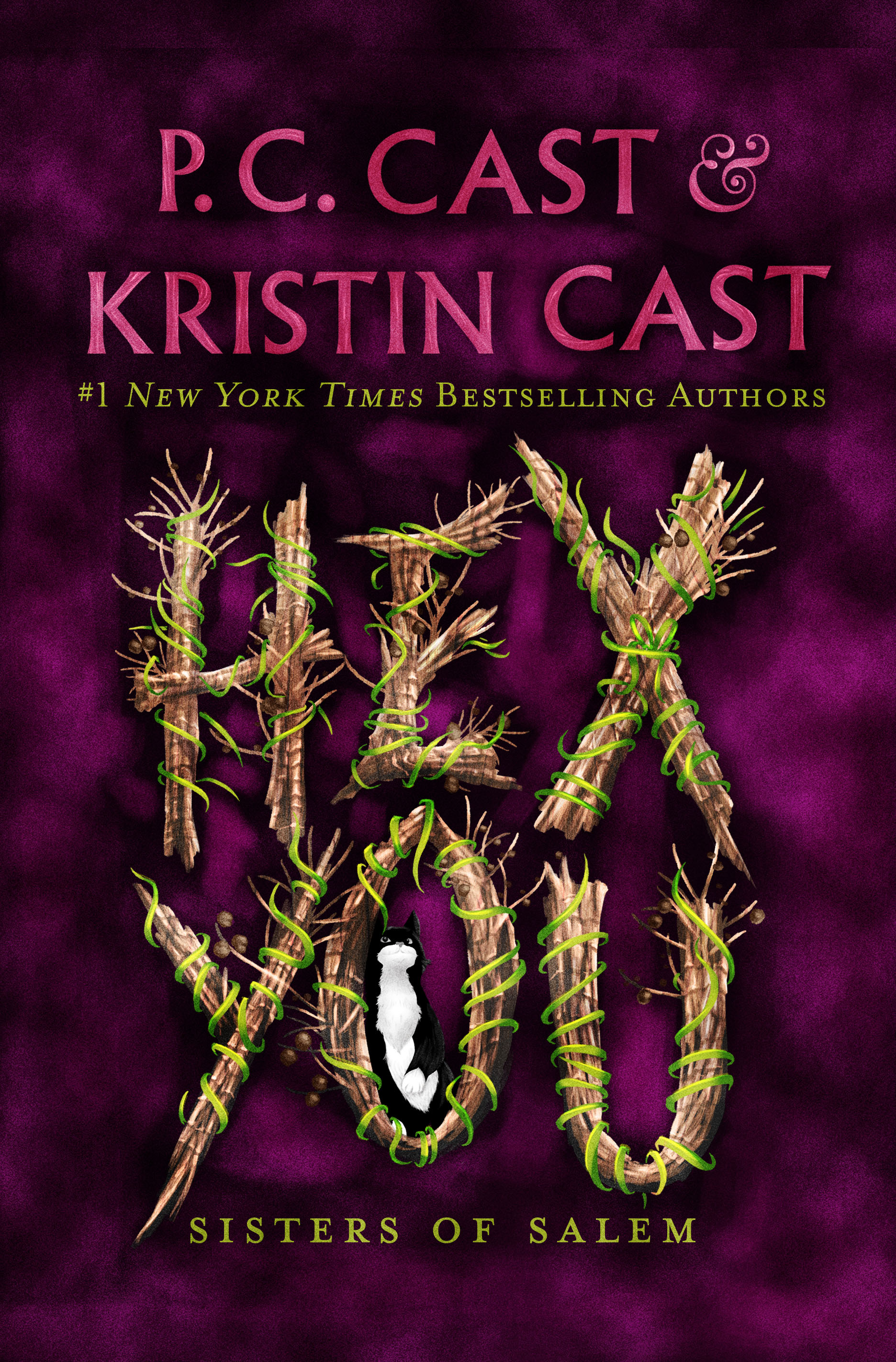 Sisters of Salem book cover 3