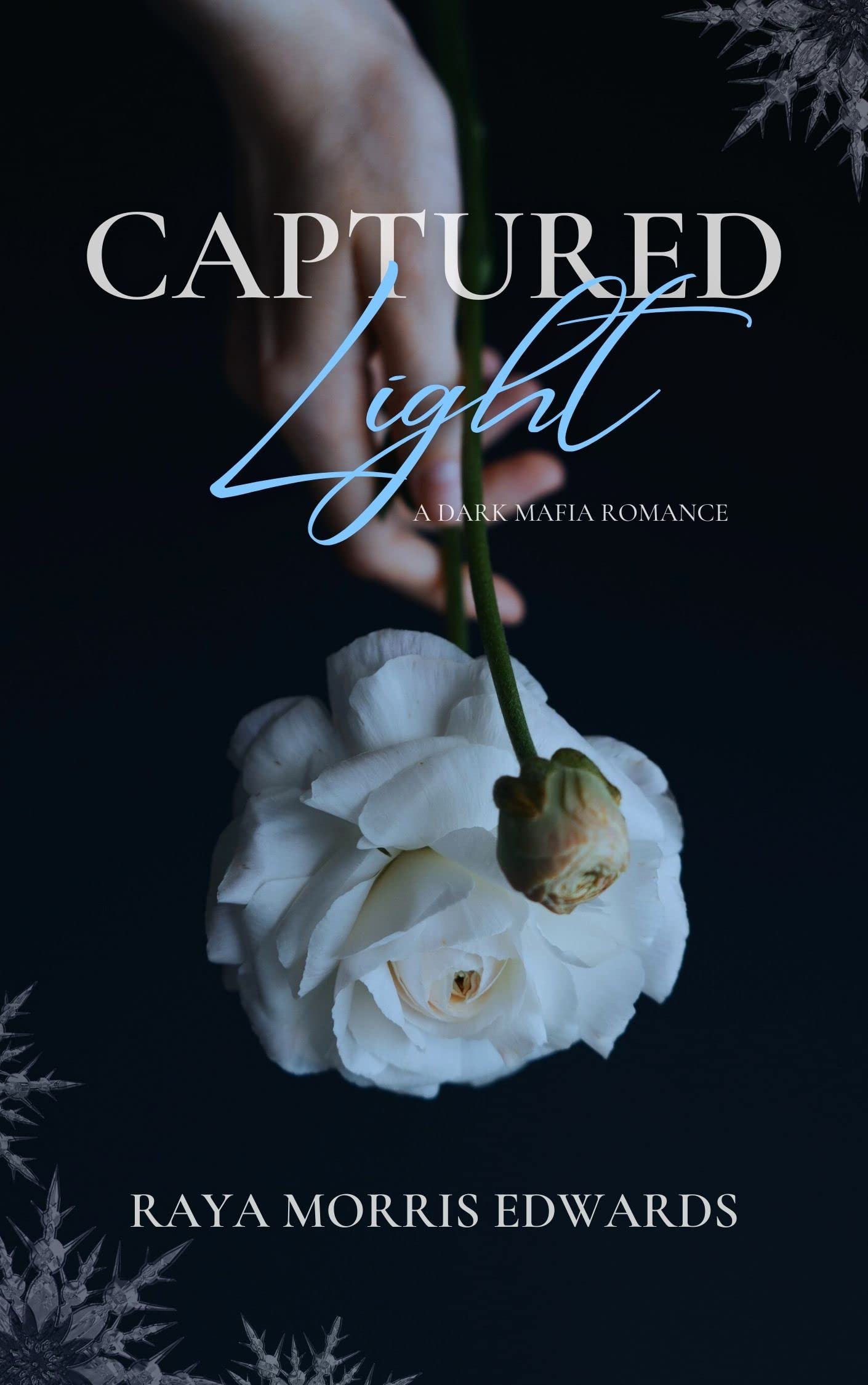 Captured Light book cover