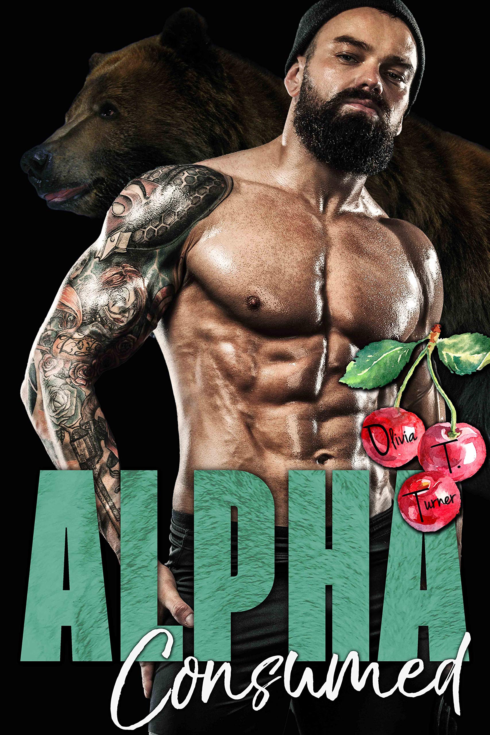 The Dixon Brothers book cover 2