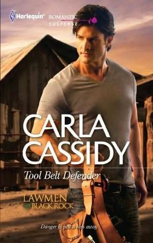 Tool Belt Defender book cover