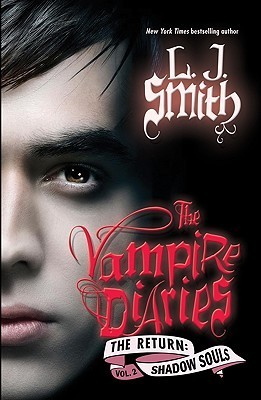 The Vampire Diaries: The Return book cover 2