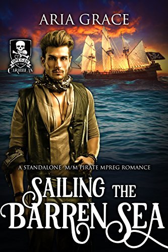 Sailing the Barren Sea book cover