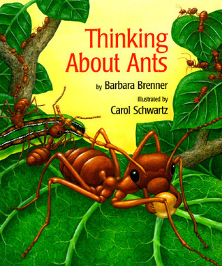 Thinking About Ants book cover