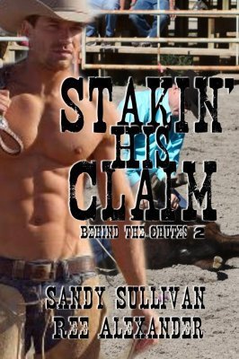 Behind the Chutes book cover 2
