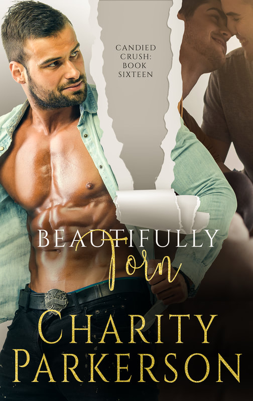 Beautifully Torn book cover