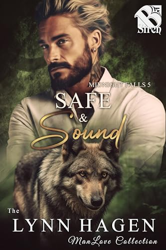 Safe & Sound book cover